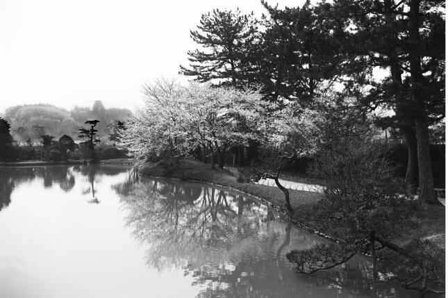OLD TSUYAMA｜江見写真館｜岡山県津山市｜1873年創業・家族の